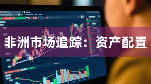 非洲市场追踪：资产配置