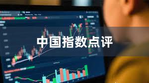 中国指数点评