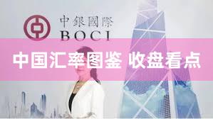 中国汇率图鉴 收盘看点